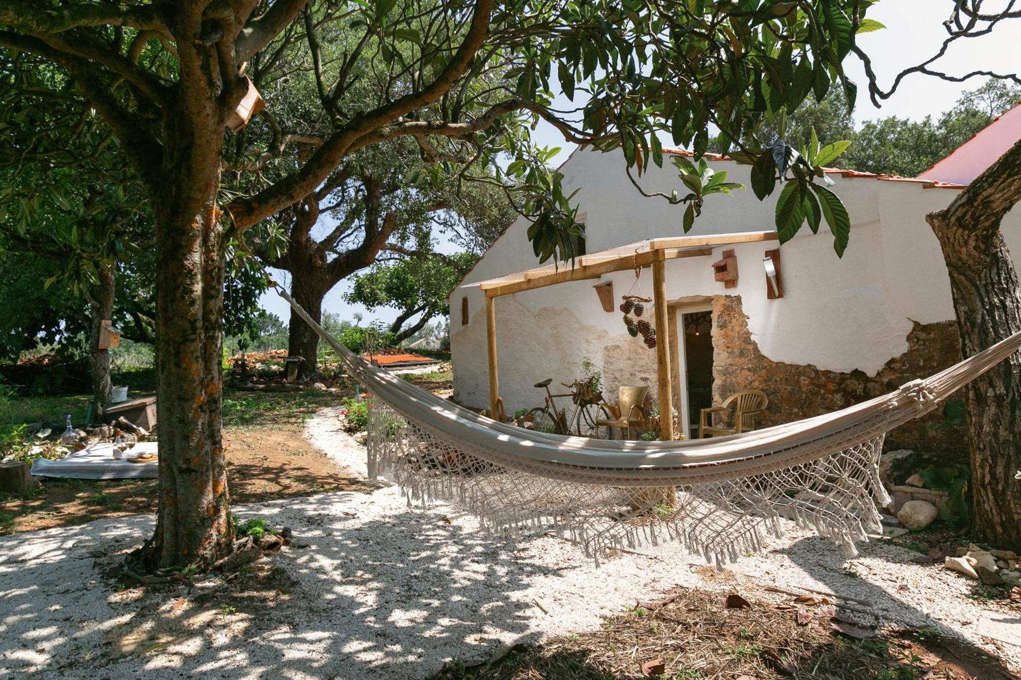 Patio Serrano Rio Maior Kültér fotó